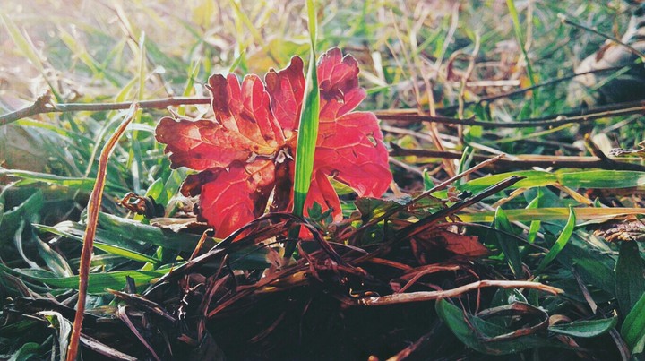 Glimpse of early spring