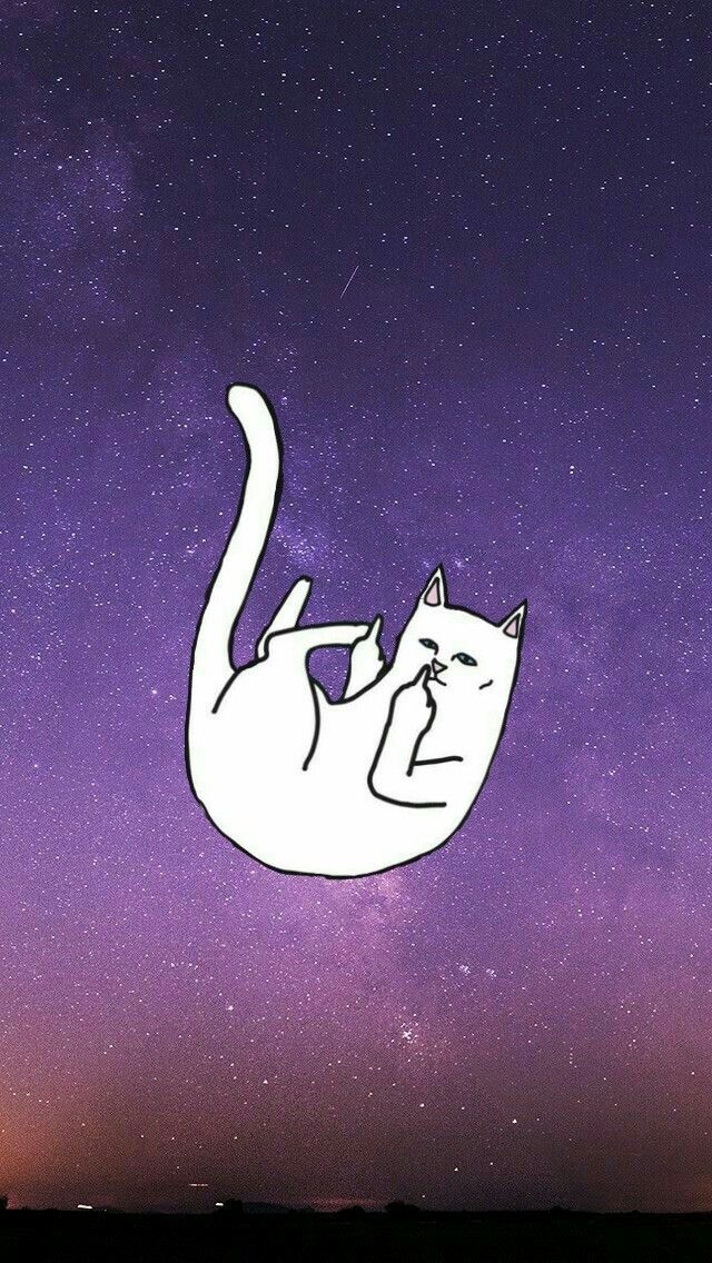Fuck Cat