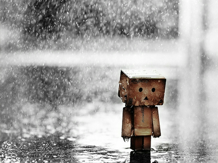 danbo is wet