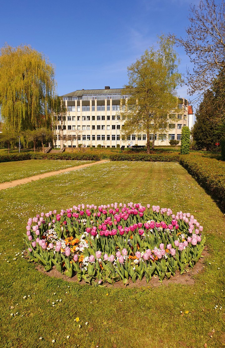 Aawiesenpark Herford