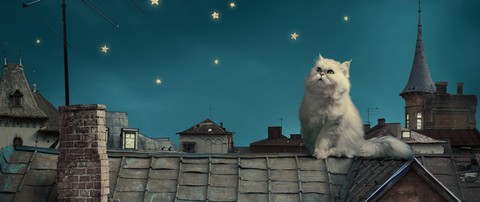 Tom Cat in the starry starry Night