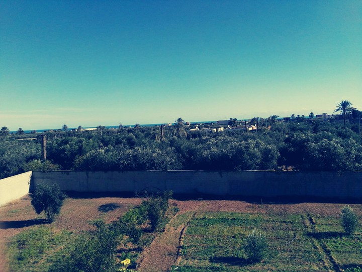 paysage