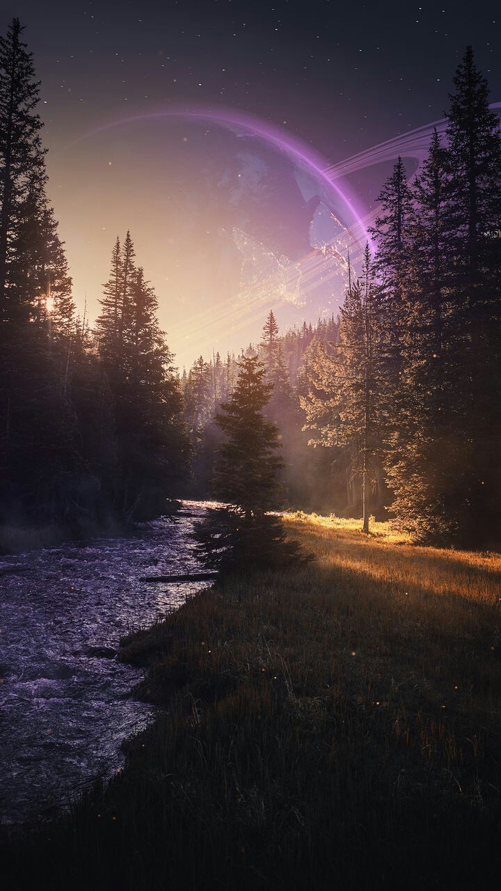 forest