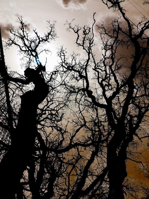 Dark Skies