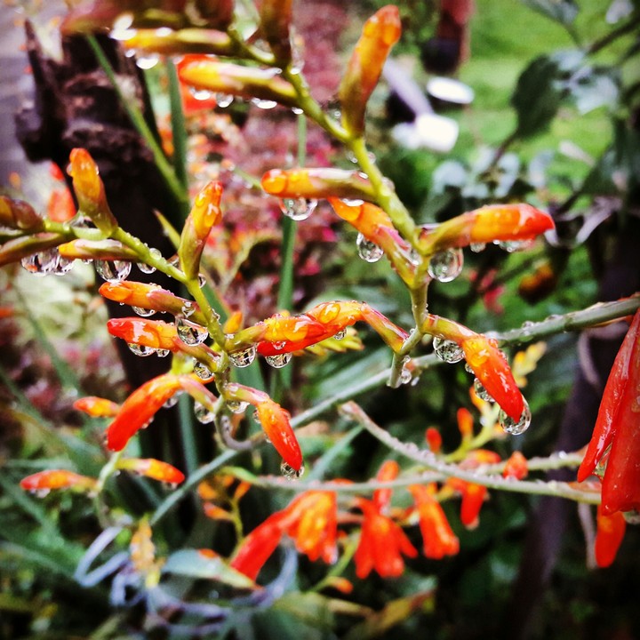 Rainy day... 