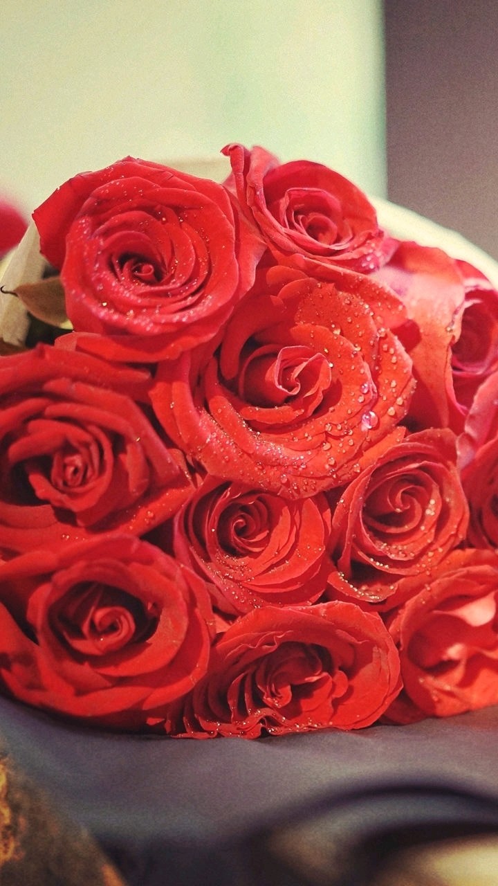 bunch of roses