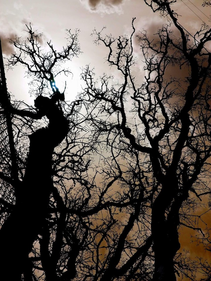 Dark Skies