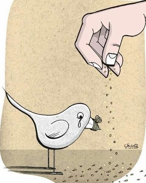 محبت پوشالی