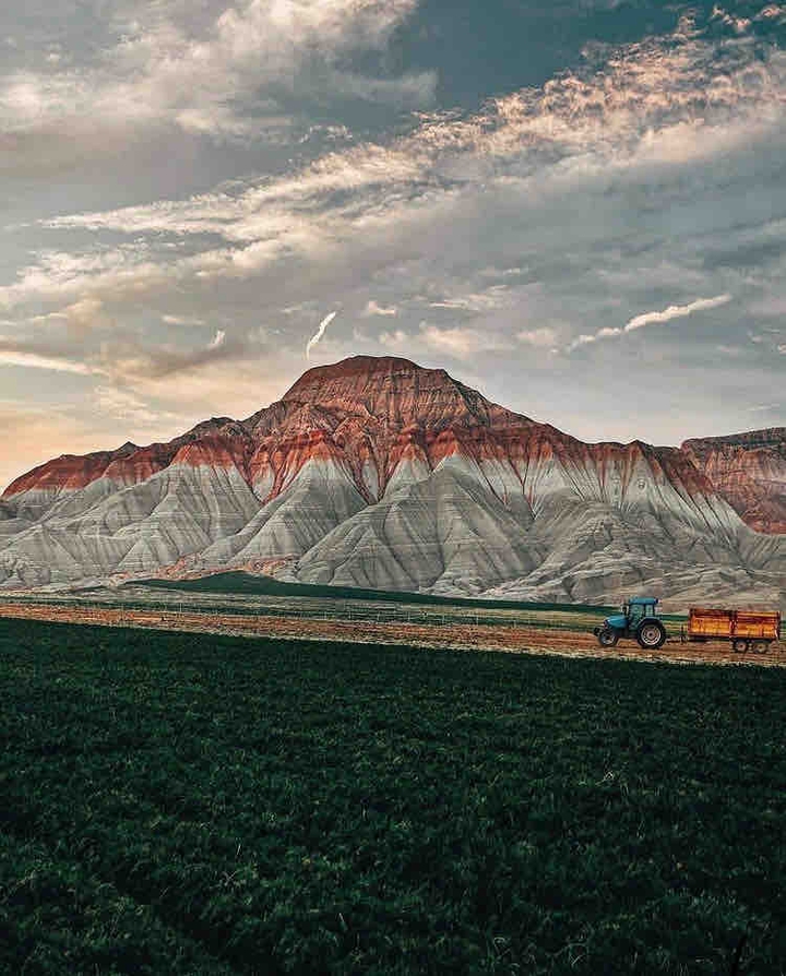 KUŞ KAYALARI??