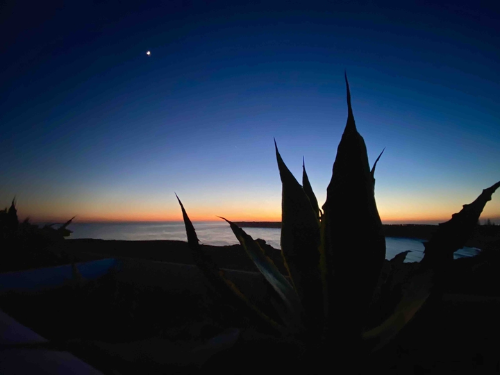 Shadows