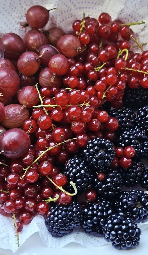 red, Ingredient Hintergrundbilder