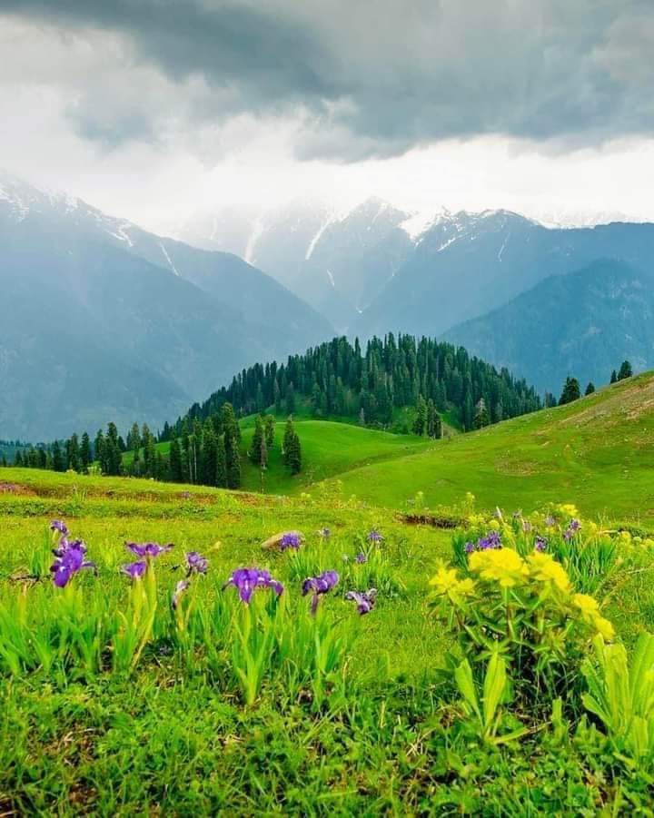 PAKISTAN KASHMIR ??