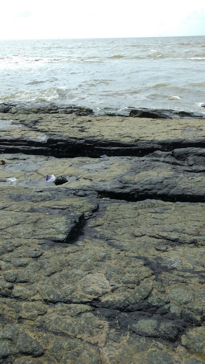 Sun Shine and Sea