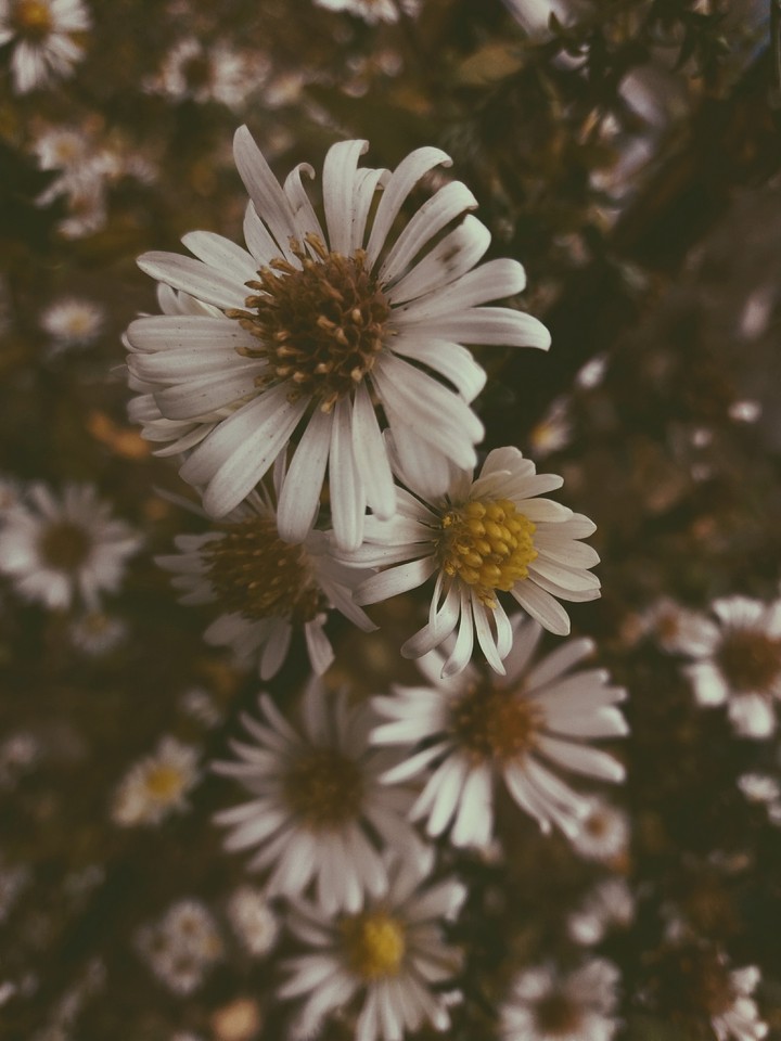 sad tenderness