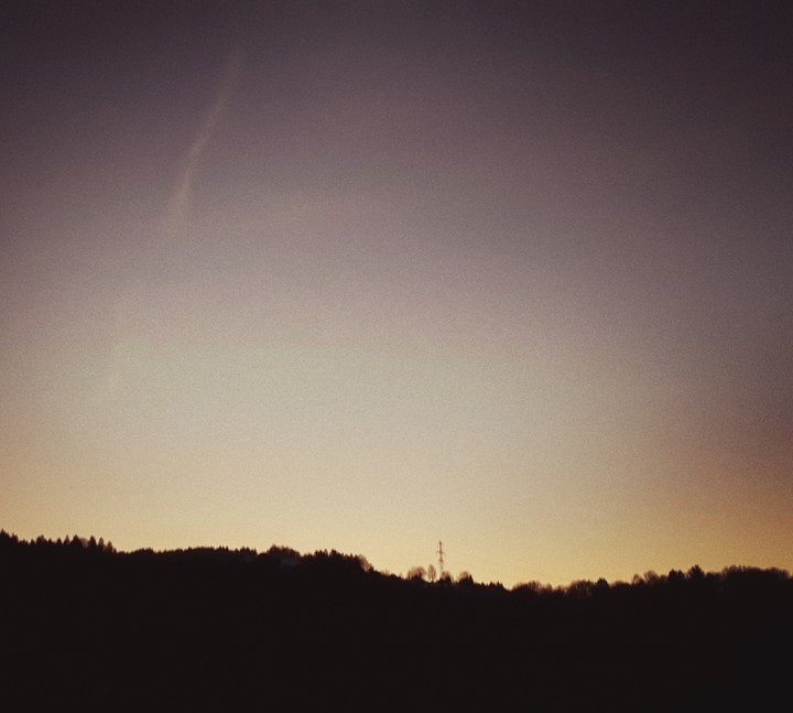 morning