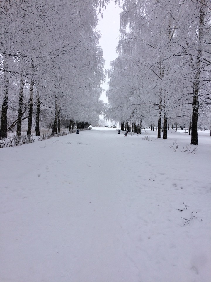 Winter
