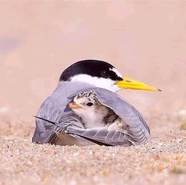 ❤