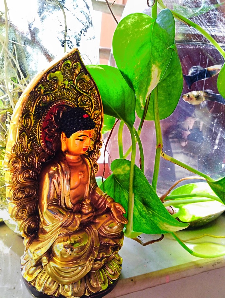 buddha
