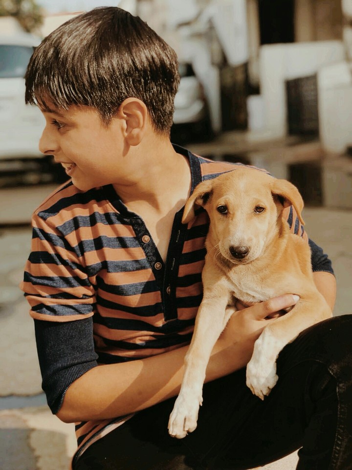dog