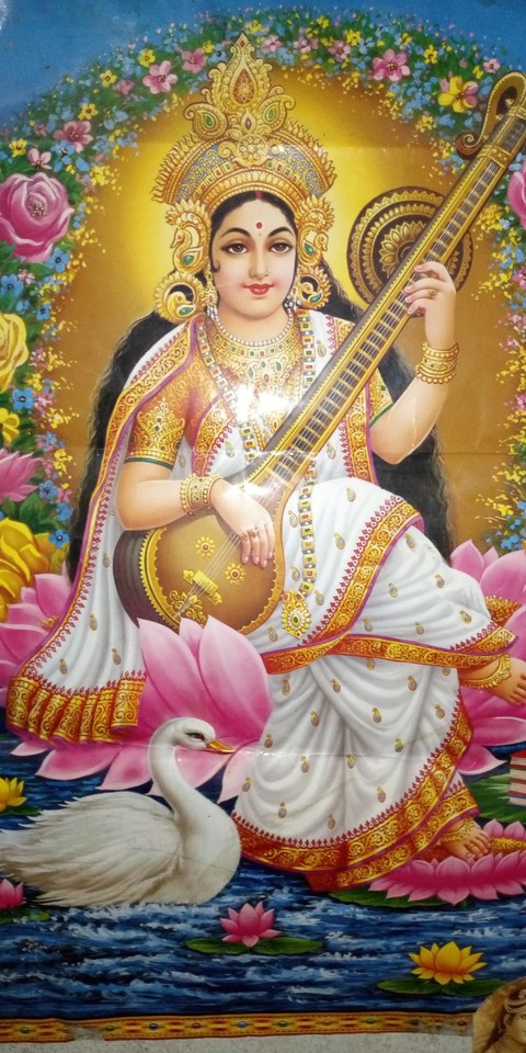 Maa