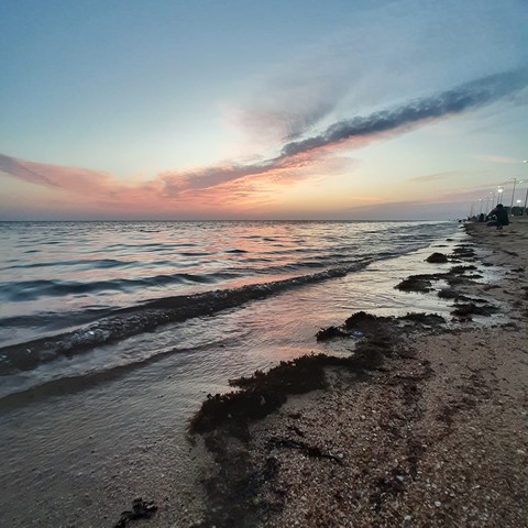 Eastern Red sea