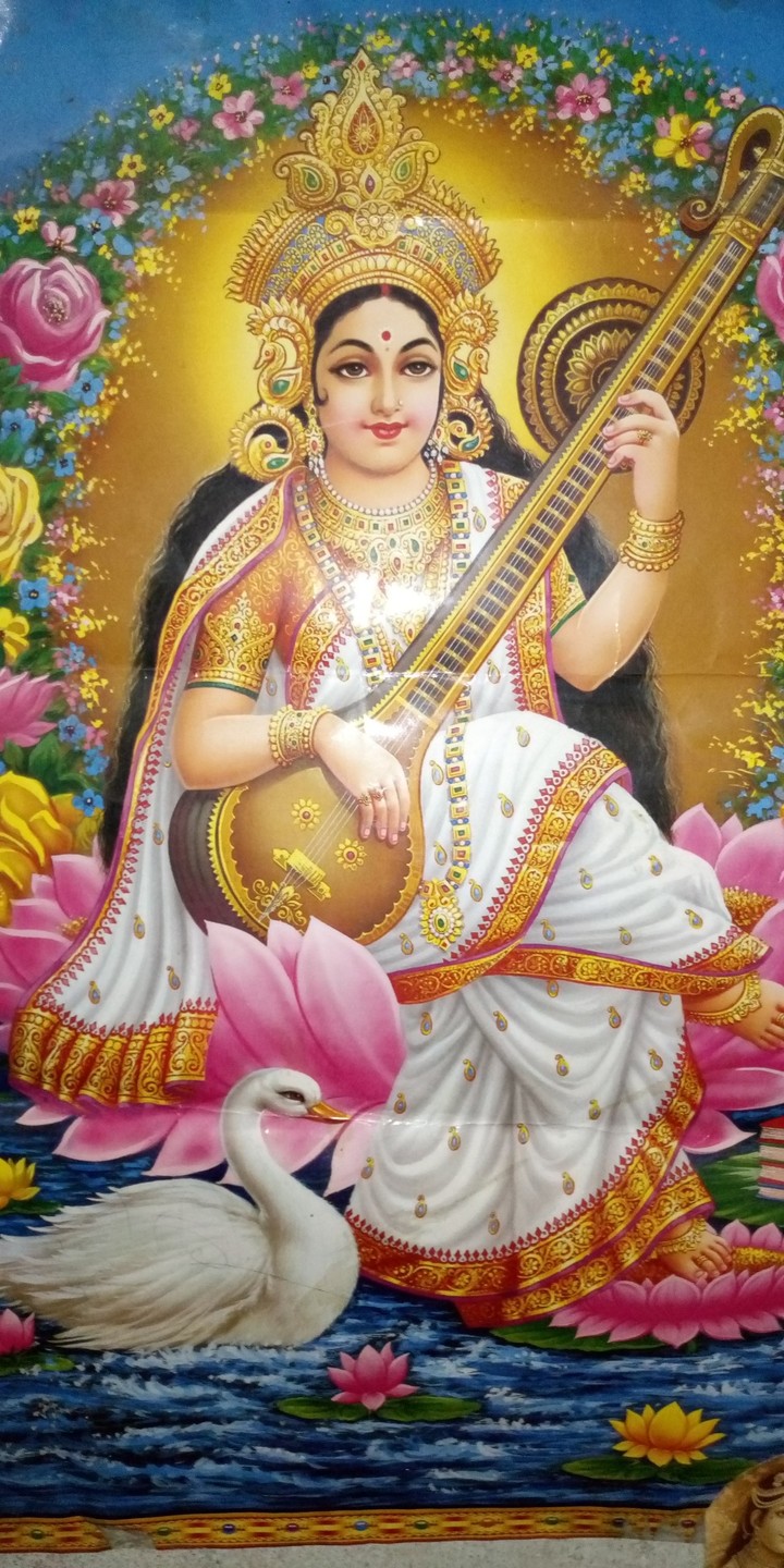 Maa