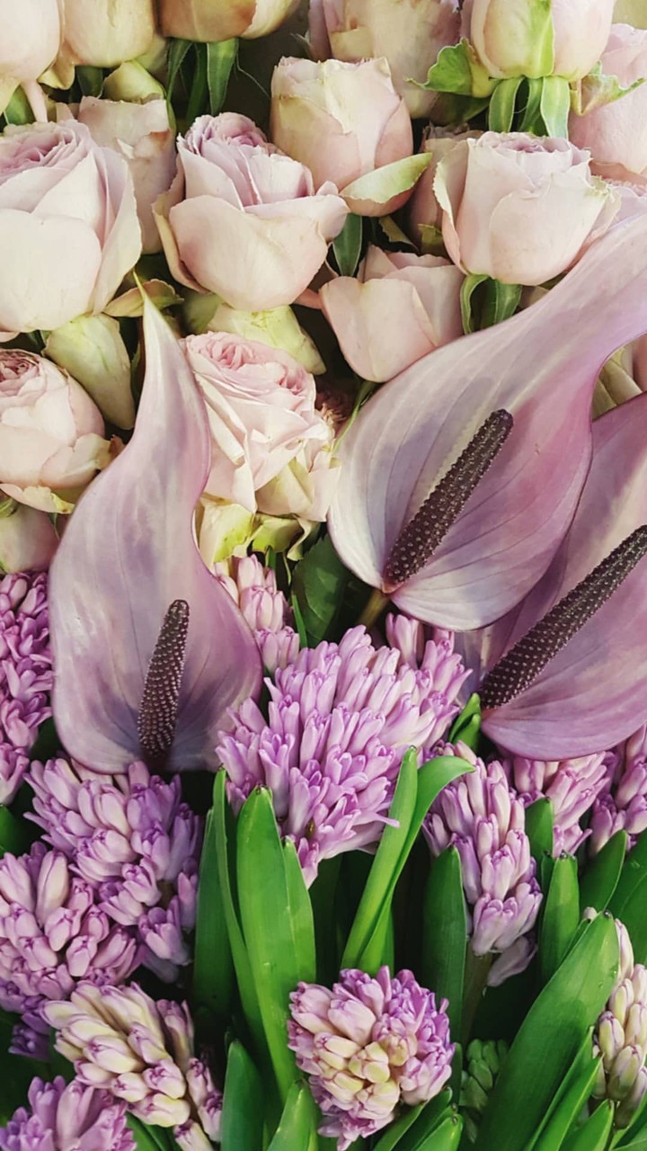 flowers