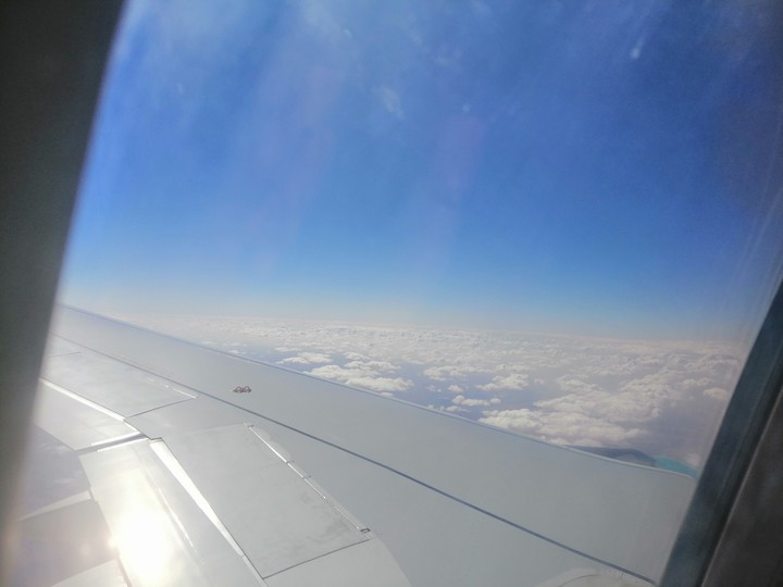Plane wing