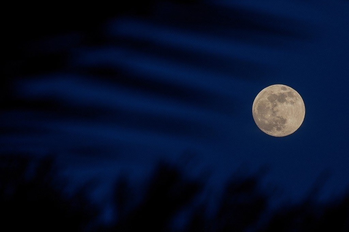 Moon