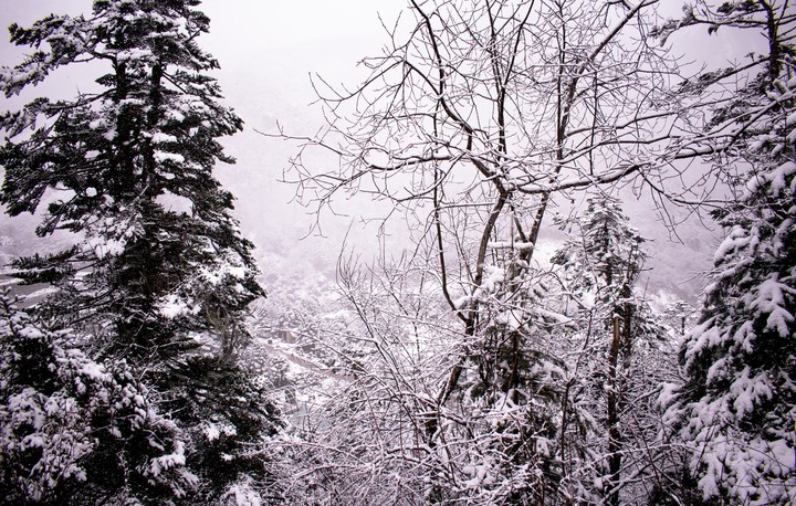 Snow Landscape