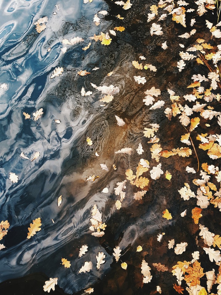 autumn