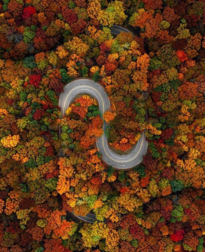 Automn