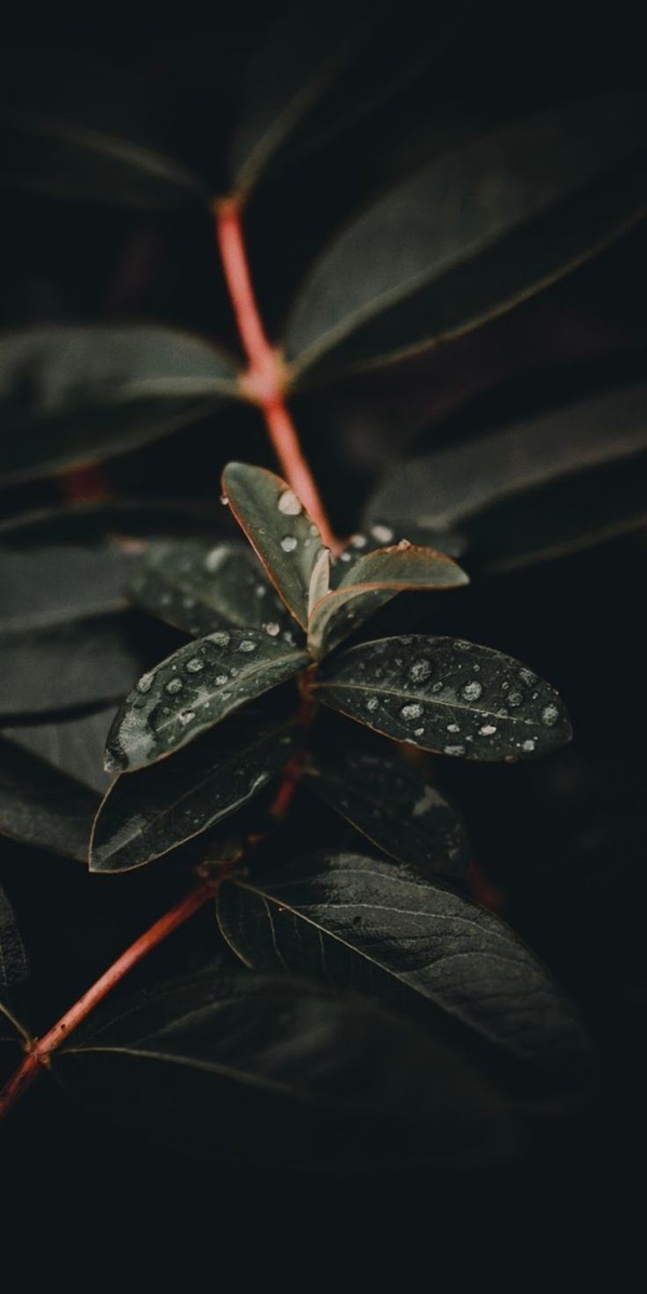 ∆