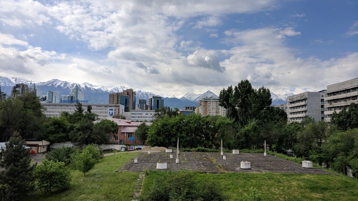 view