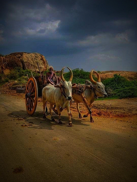 TINU BABA 007
