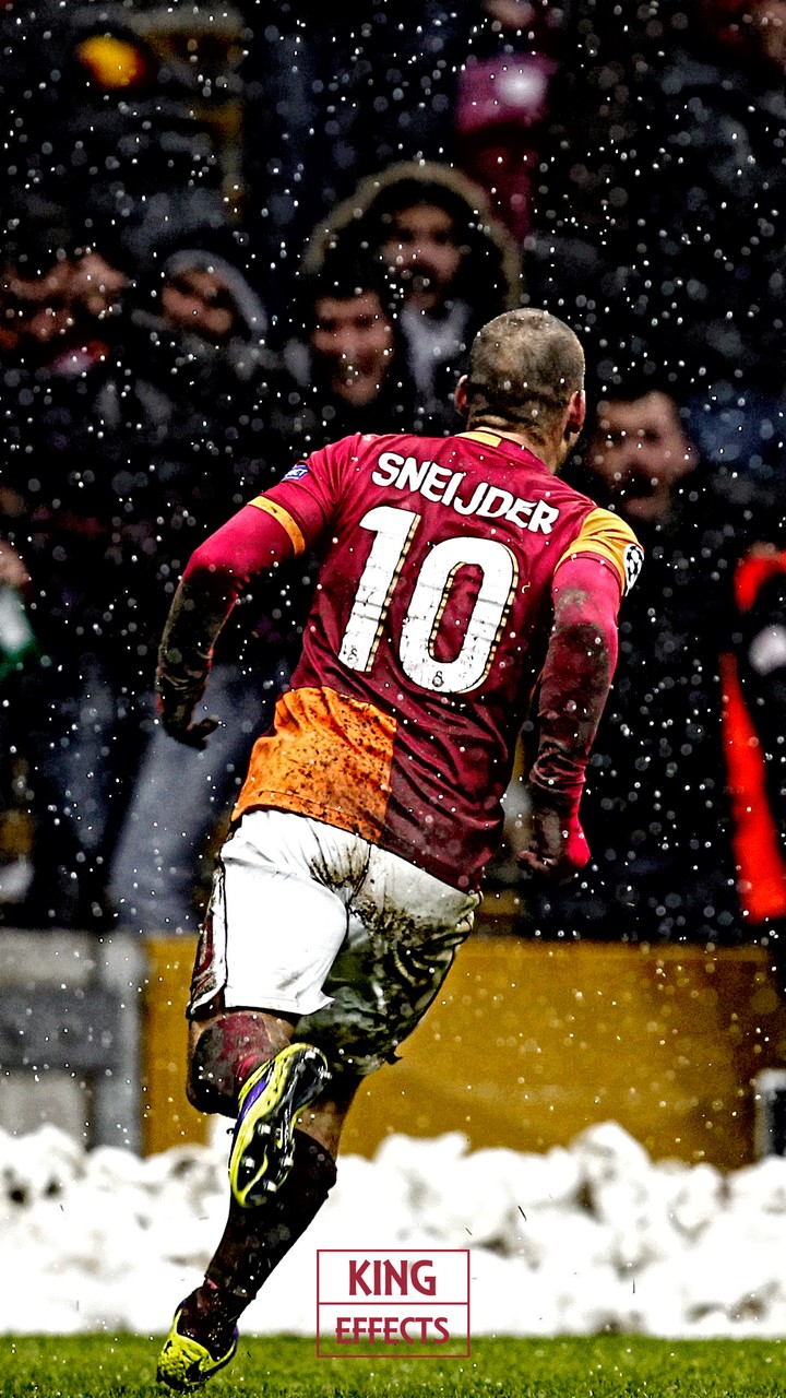 Wesley Sneijder ⚽