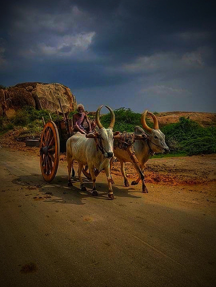 TINU BABA 007