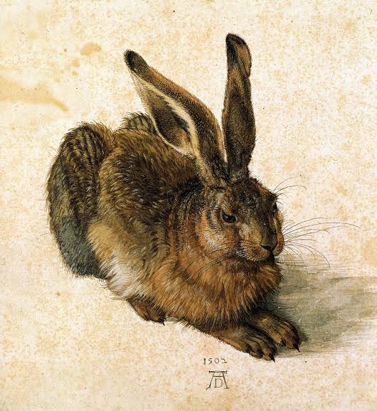 Albrecht Dürer