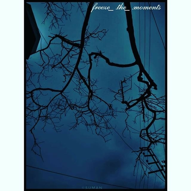 The blue and black canvas