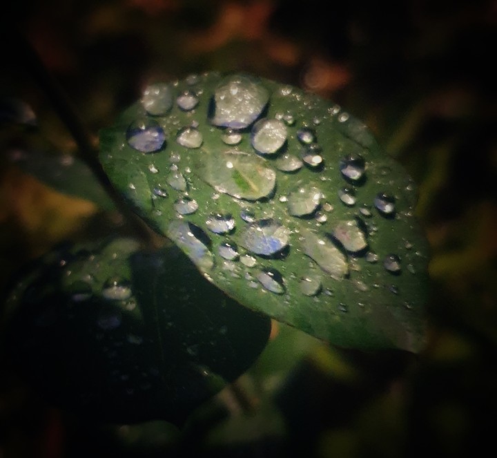 rain