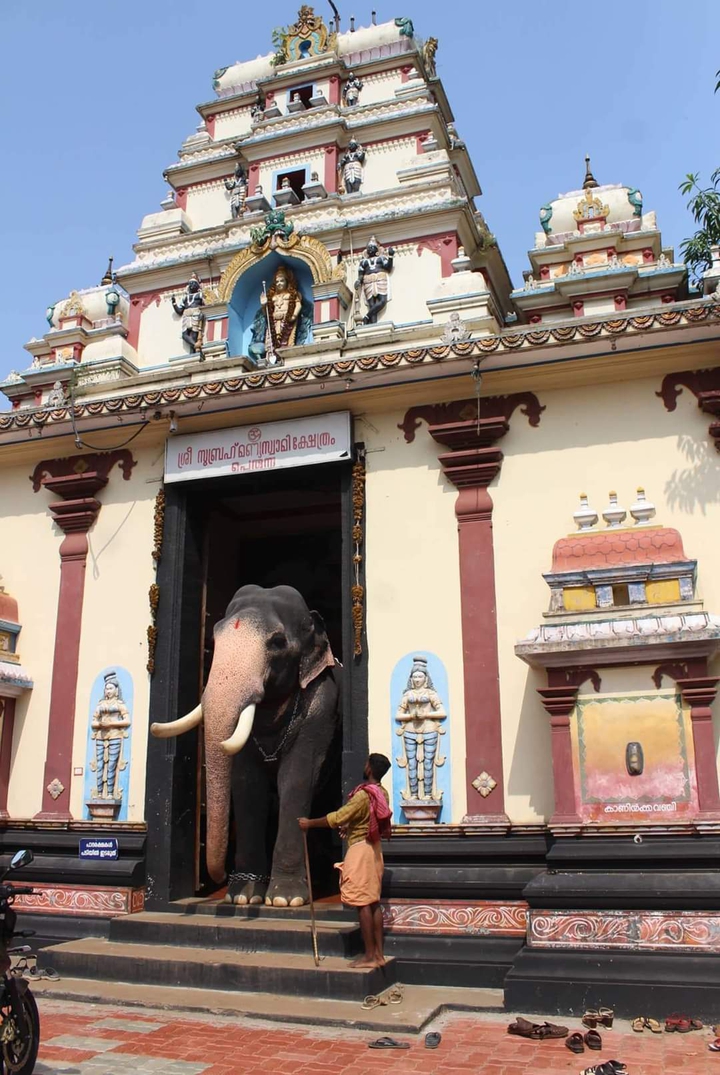 Perunna Subramanyaswamy temple Changanacherry