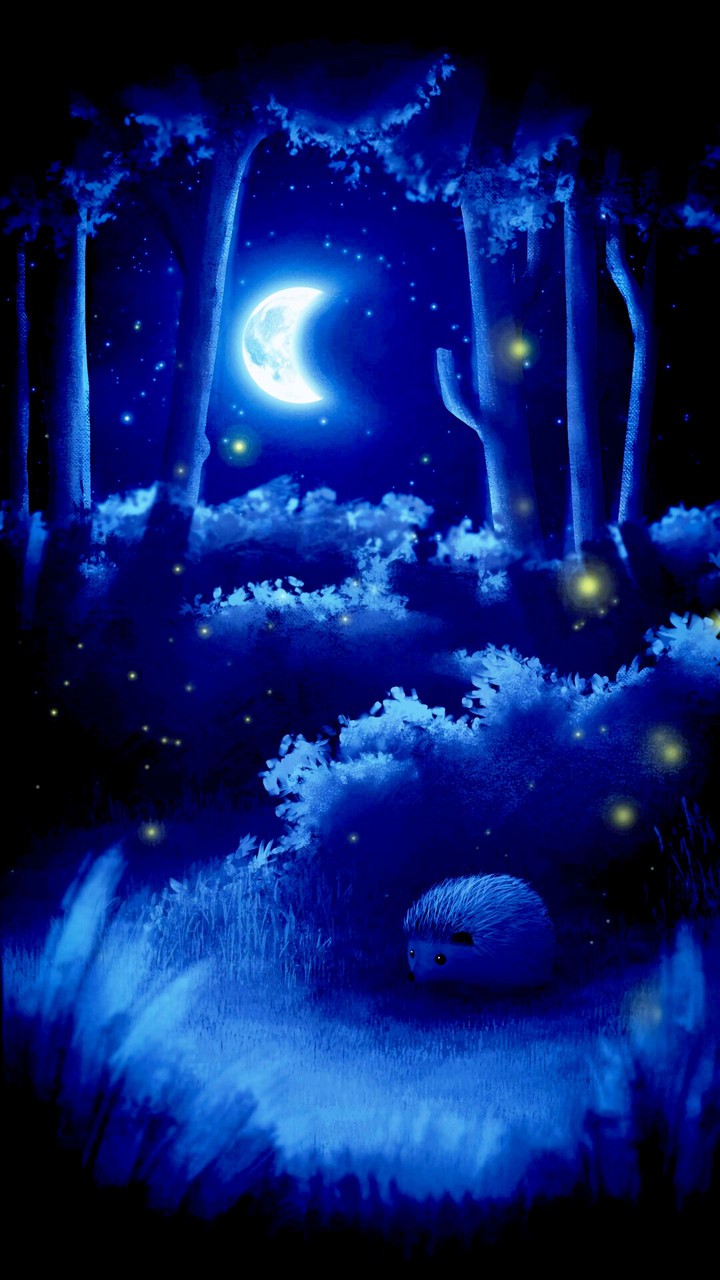 good night
