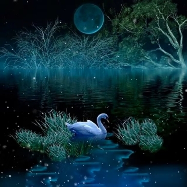 Nature.