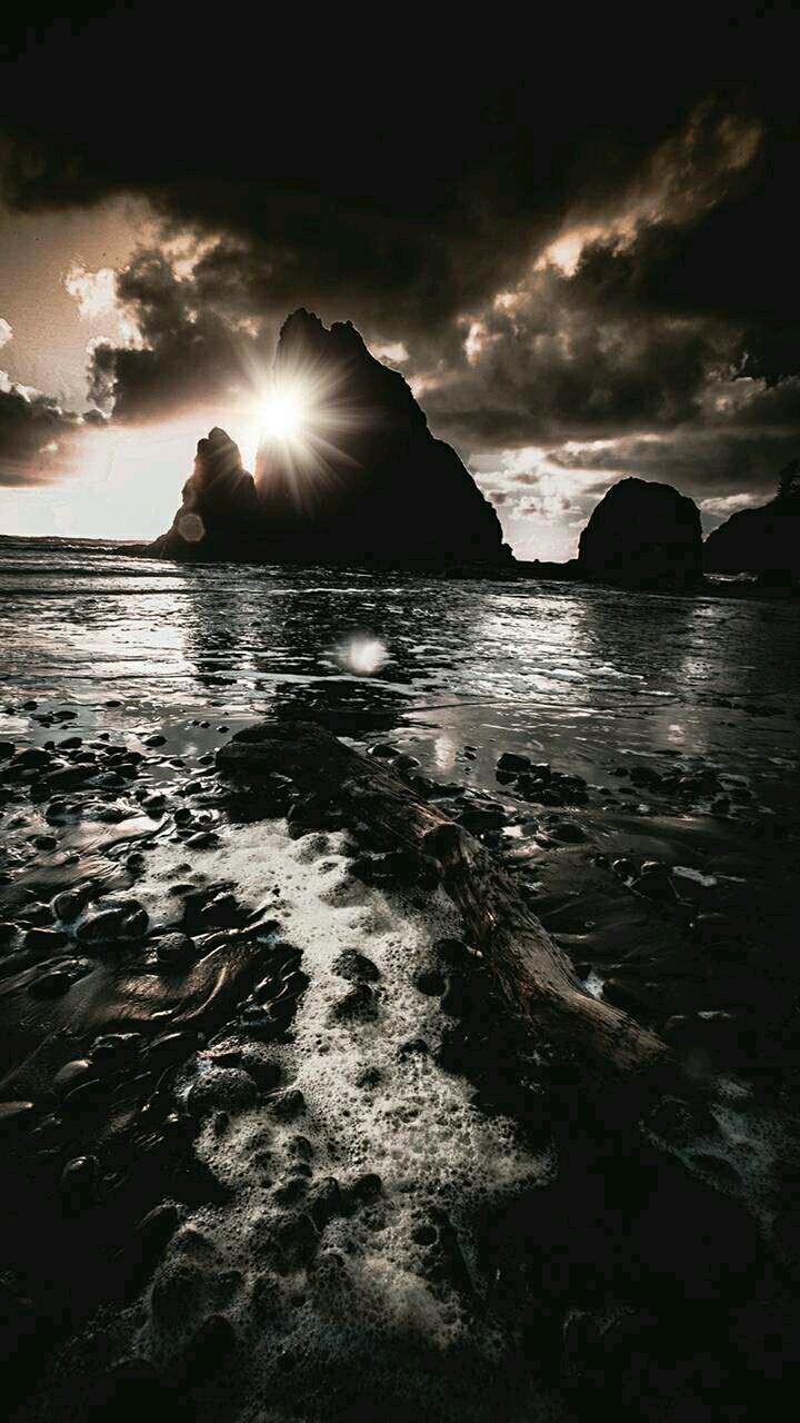 Belle image