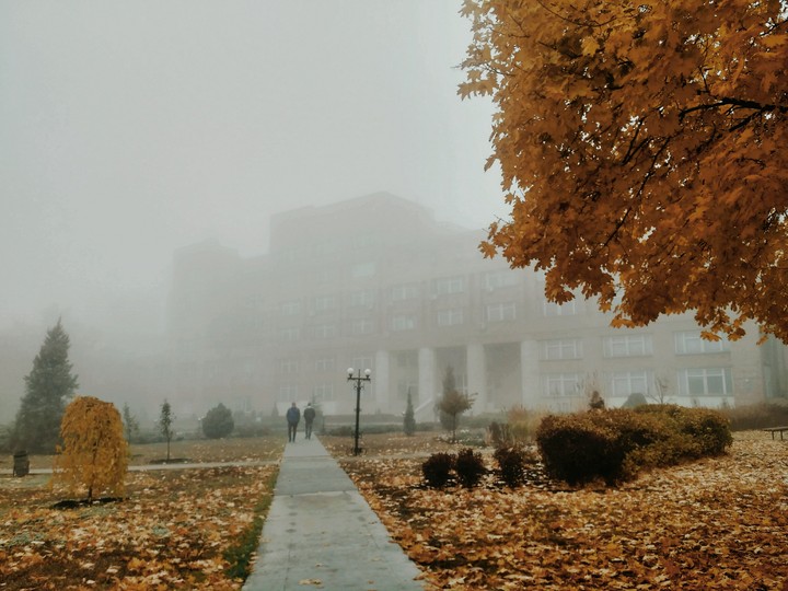 autumn
