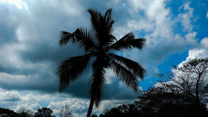 cloudy