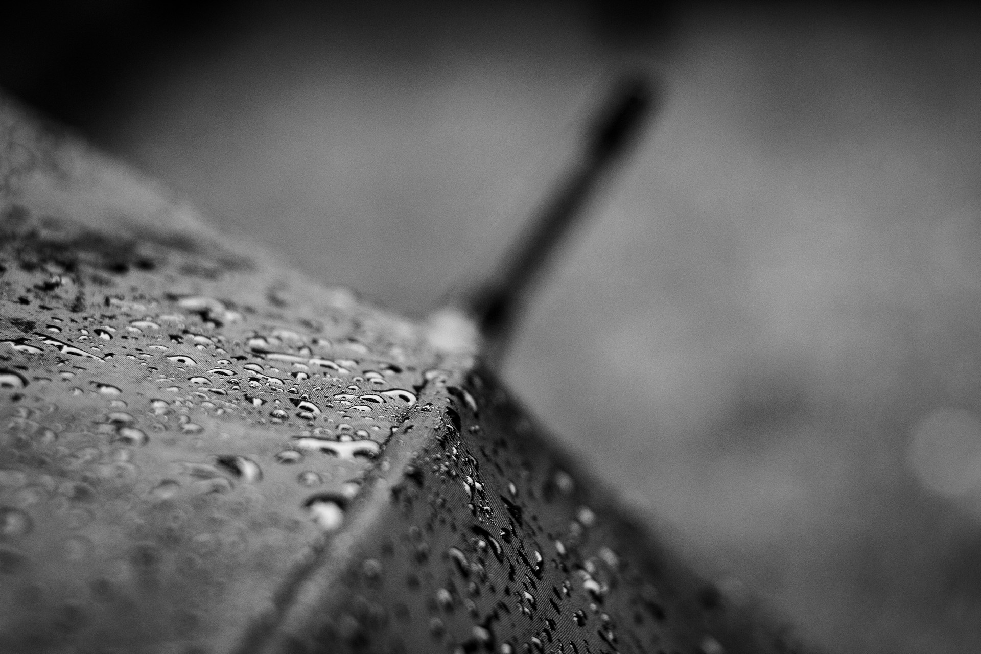 Rainy Day