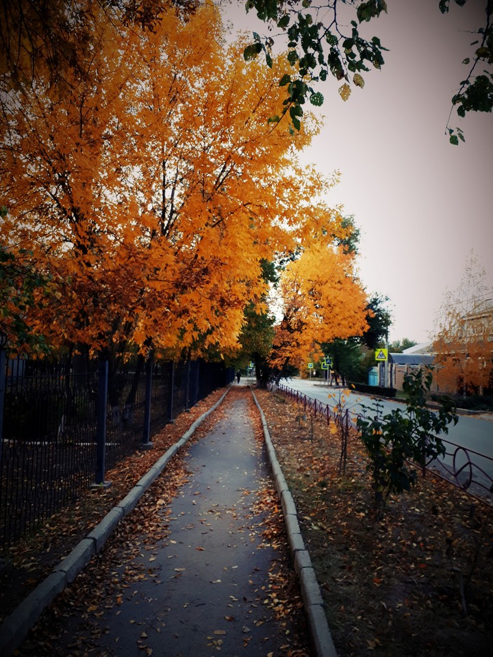 Autumn