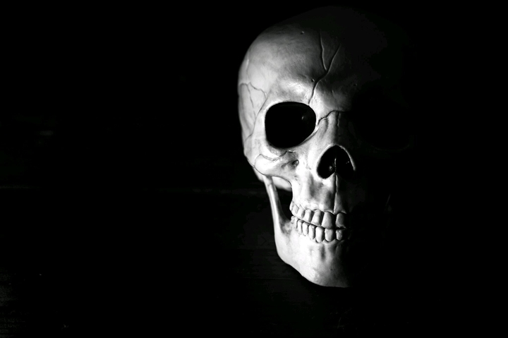 Dark Half Skull
