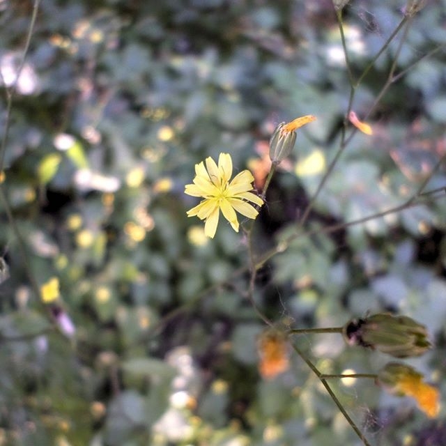 #Україна #природа #краса